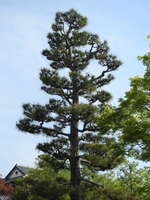 DSCN0771.JPG