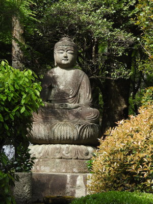 DSCN0783.JPG