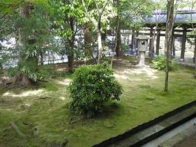 DSCN0790.JPG