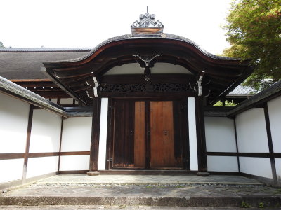 DSCN0803.JPG