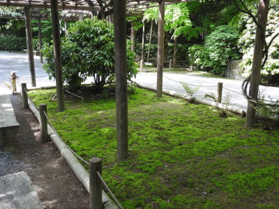 DSCN0807.JPG