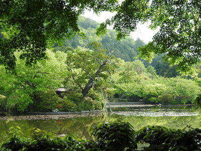 DSCN0809.JPG