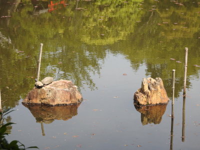 DSCN0811.JPG