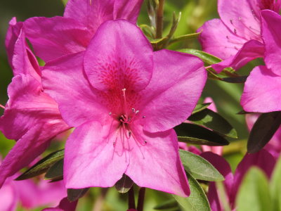 DSCN0816.JPG