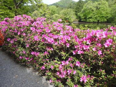 DSCN0817.JPG