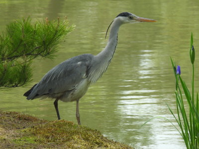 DSCN0835.JPG