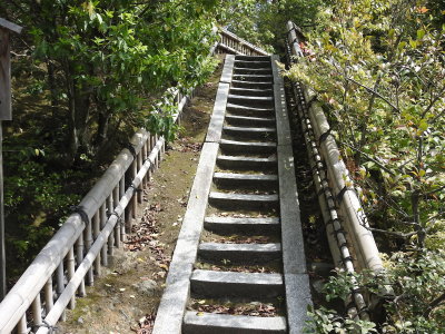 DSCN0838.JPG