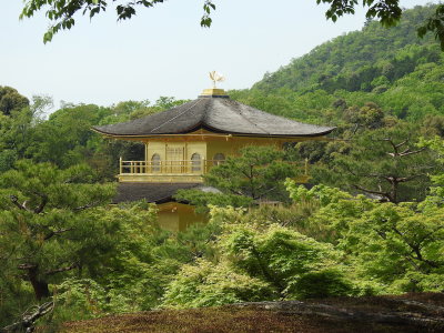 DSCN0844.JPG