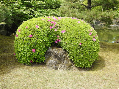 DSCN0865.JPG