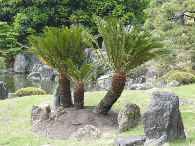 DSCN0869.JPG