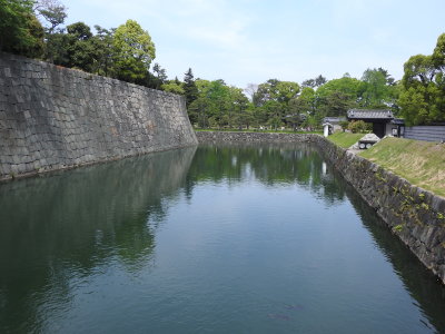 DSCN0873.JPG