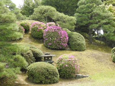 DSCN0877.JPG