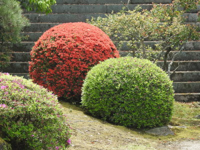 DSCN0878.JPG