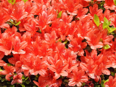 DSCN0888.JPG