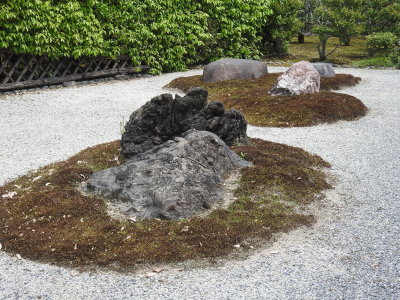 DSCN0895.JPG