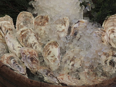 DSCN0903.JPG