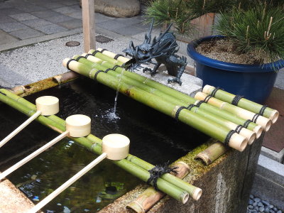 DSCN0973.JPG
