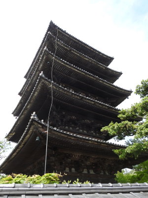 DSCN1021.JPG