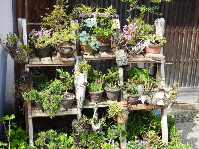 DSCN1032.JPG