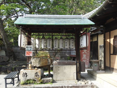 DSCN1083.JPG