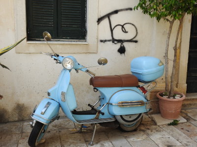 DSCN2310.JPG