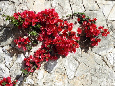 DSCN2325.JPG