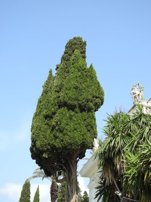 DSCN2376.JPG