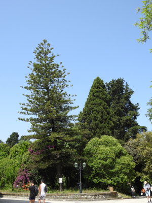 DSCN2390.JPG