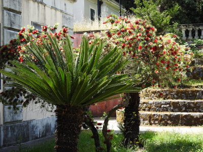 DSCN2396.JPG