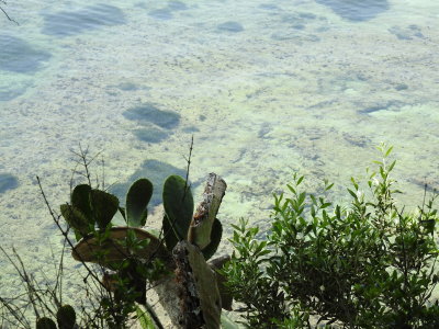 DSCN2409.JPG