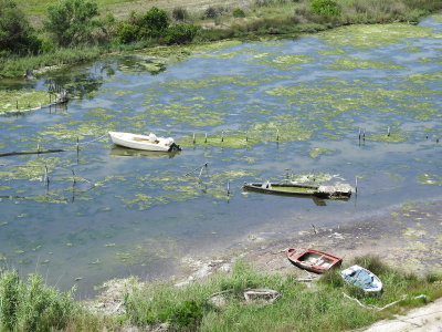 DSCN2434.JPG
