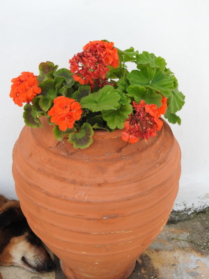 DSCN2474.JPG