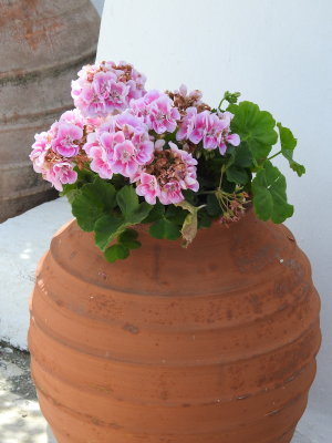 DSCN2475.JPG