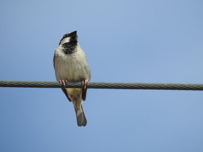 DSCN2523.JPG