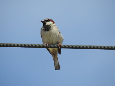 DSCN2524.JPG