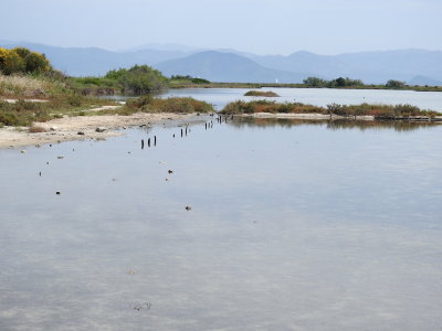 DSCN2528.JPG