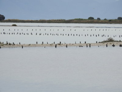 DSCN2531.JPG