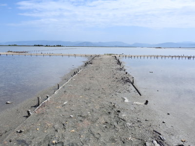 DSCN2536.JPG