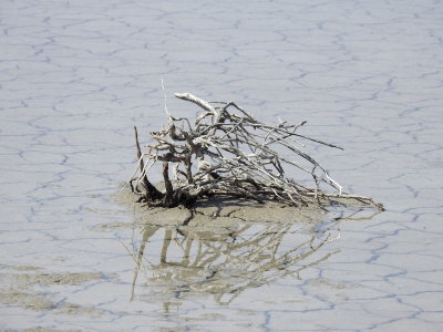 DSCN2538.JPG