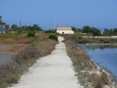 DSCN2539.JPG