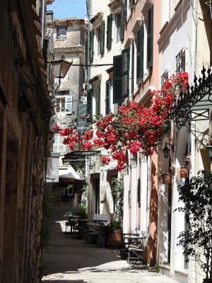 DSCN2574.JPG