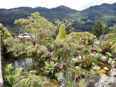 DSCN2885.JPG