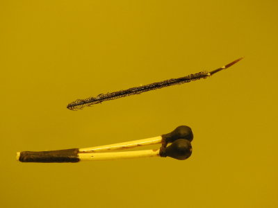 DSCN2940.JPG