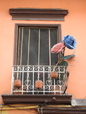 DSCN3001.JPG