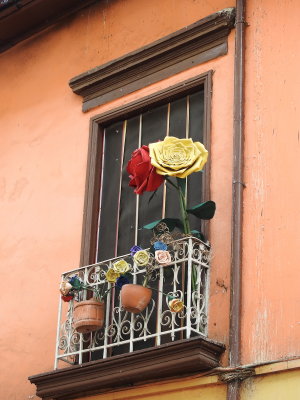 DSCN3000.JPG