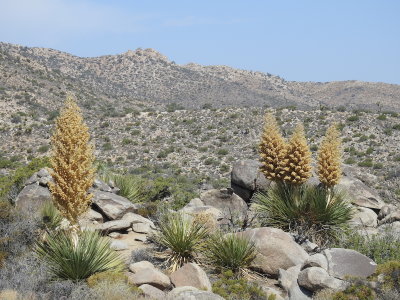 DSCN3421.JPG