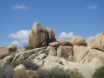 DSCN3423.JPG