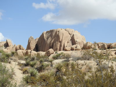 DSCN3425.JPG