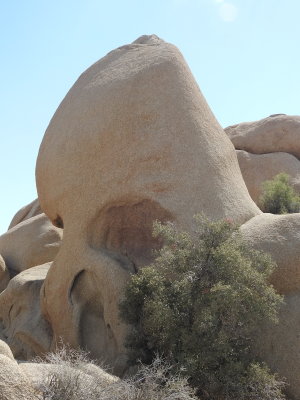 DSCN3431.JPG