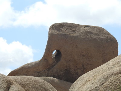 DSCN3432.JPG